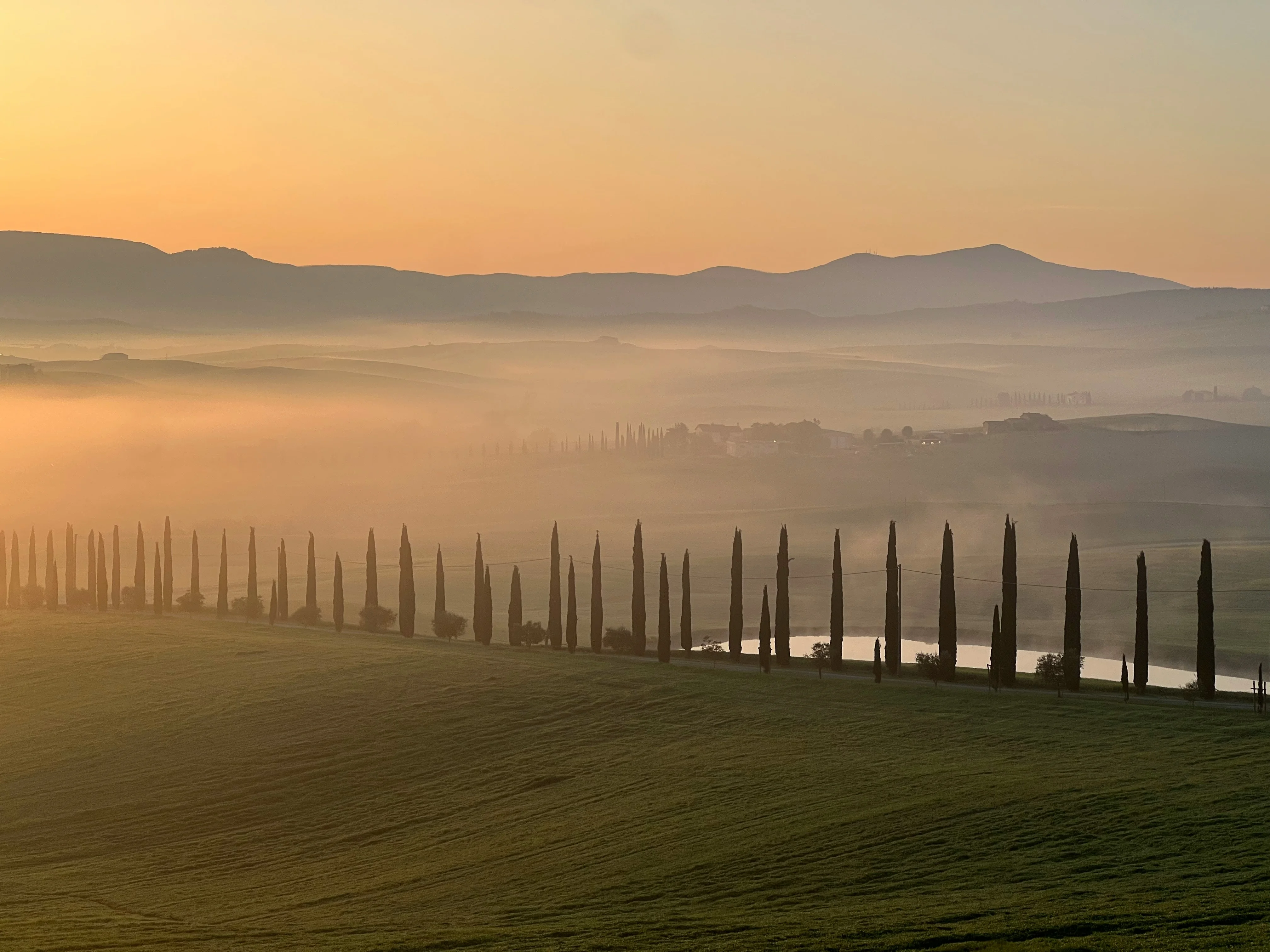 Alba tra i cipressi