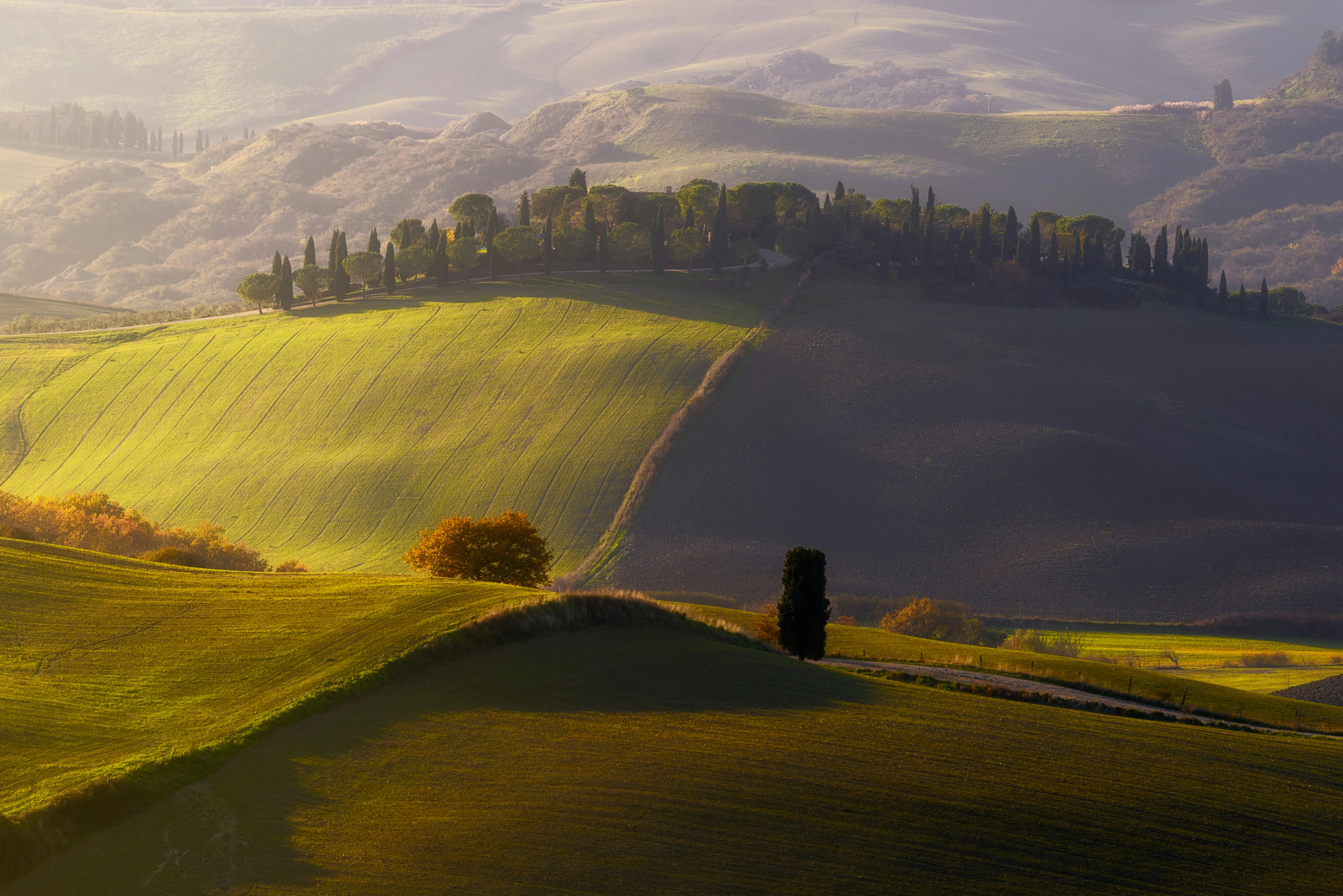 Luce dorata sulle colline etrusche tra Umbria e Toscana