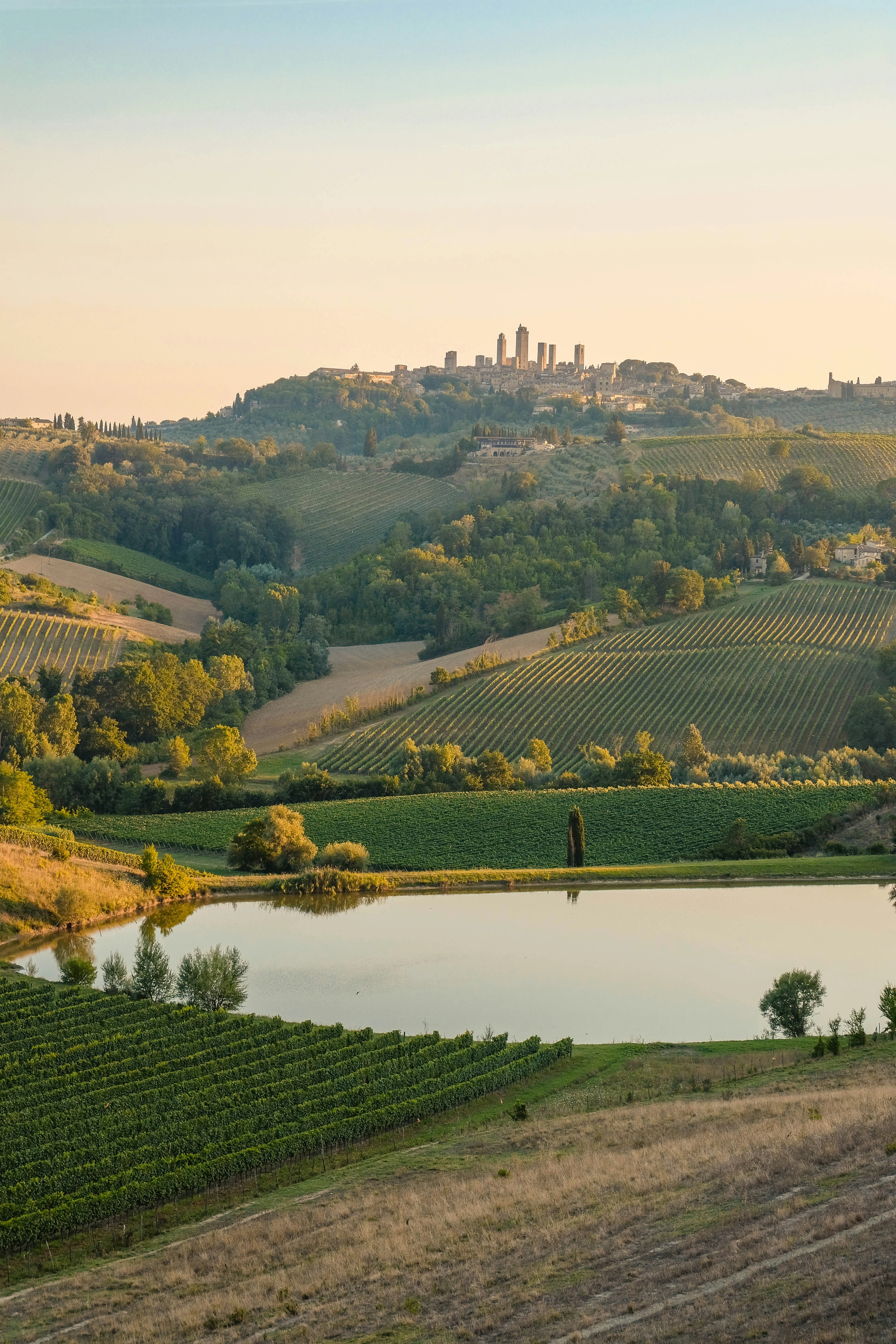 Vigneti e borgo medievale di Città della Pieve, Umbria