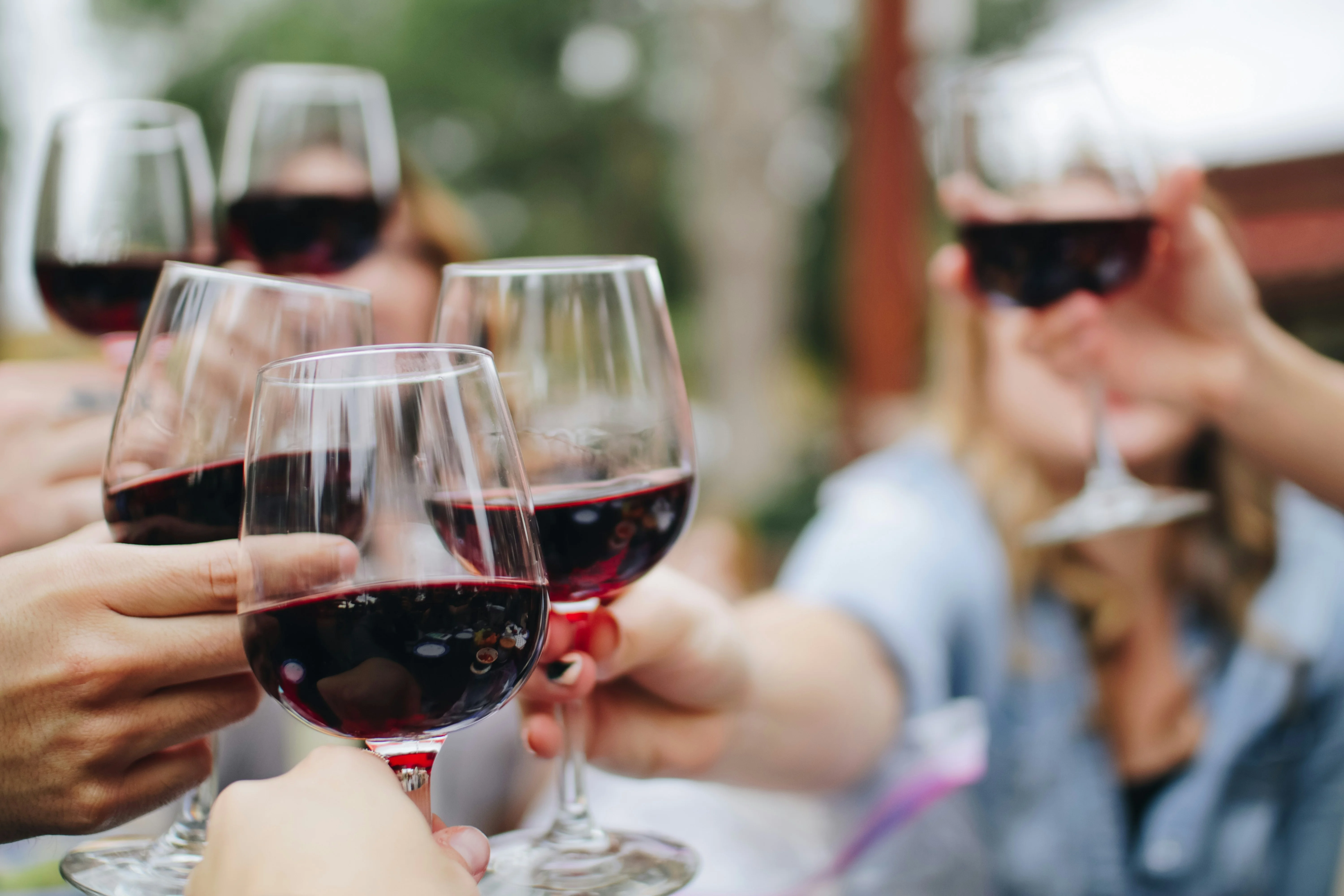 Degustazione di vino toscano — tour Enogastronomico con Elena Koulakova