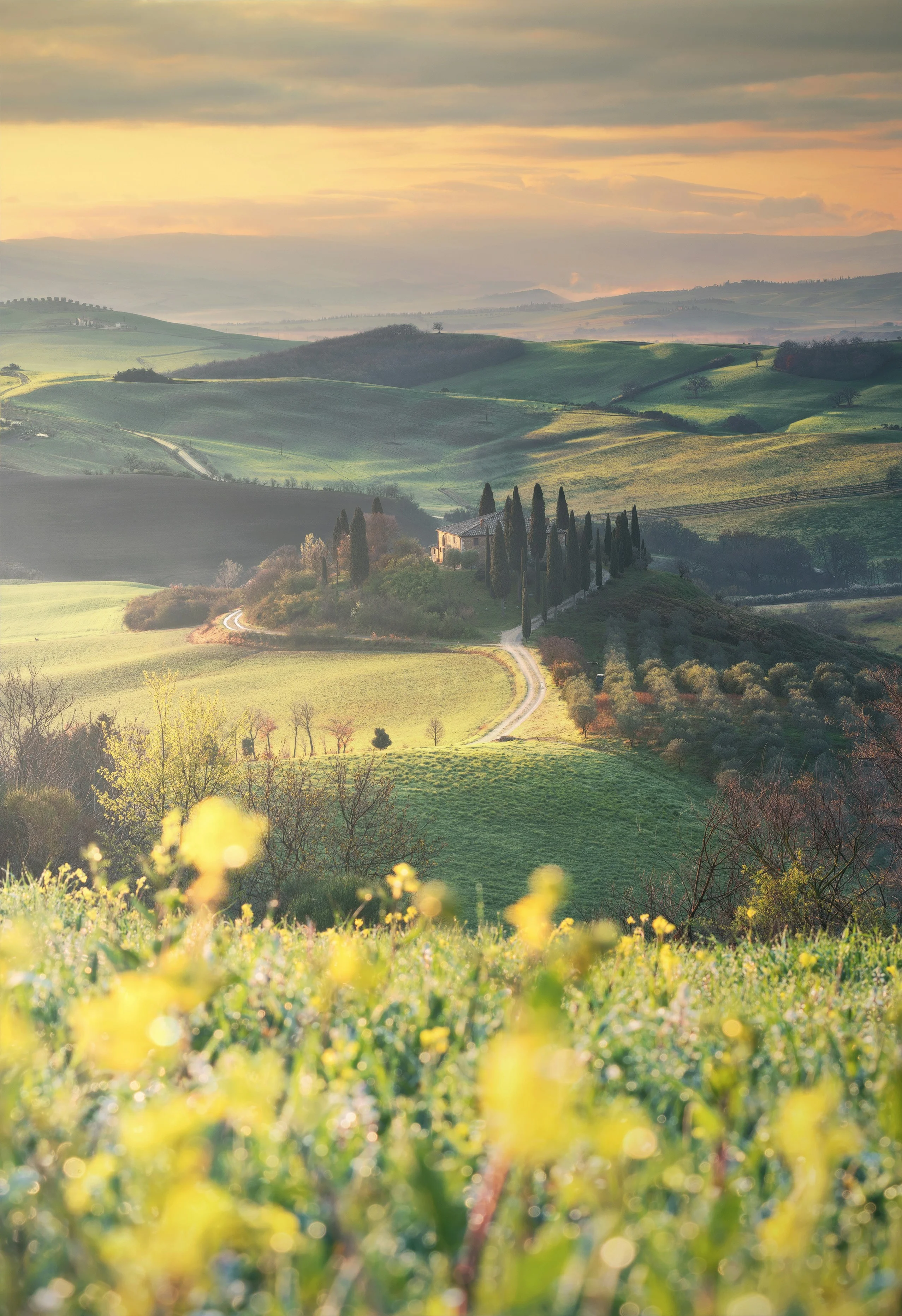 Colline verdi al tramonto vicino a Cetona, borgo medievale toscano