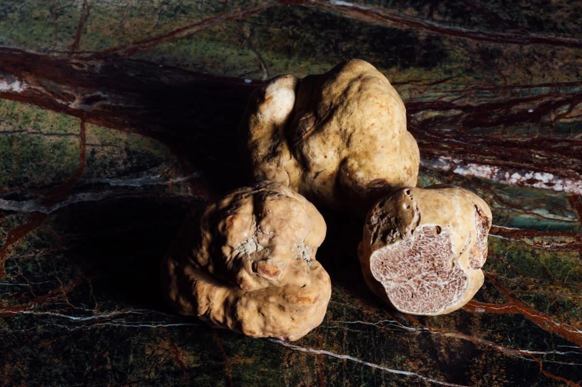 Tartufi neri su tavola di legno