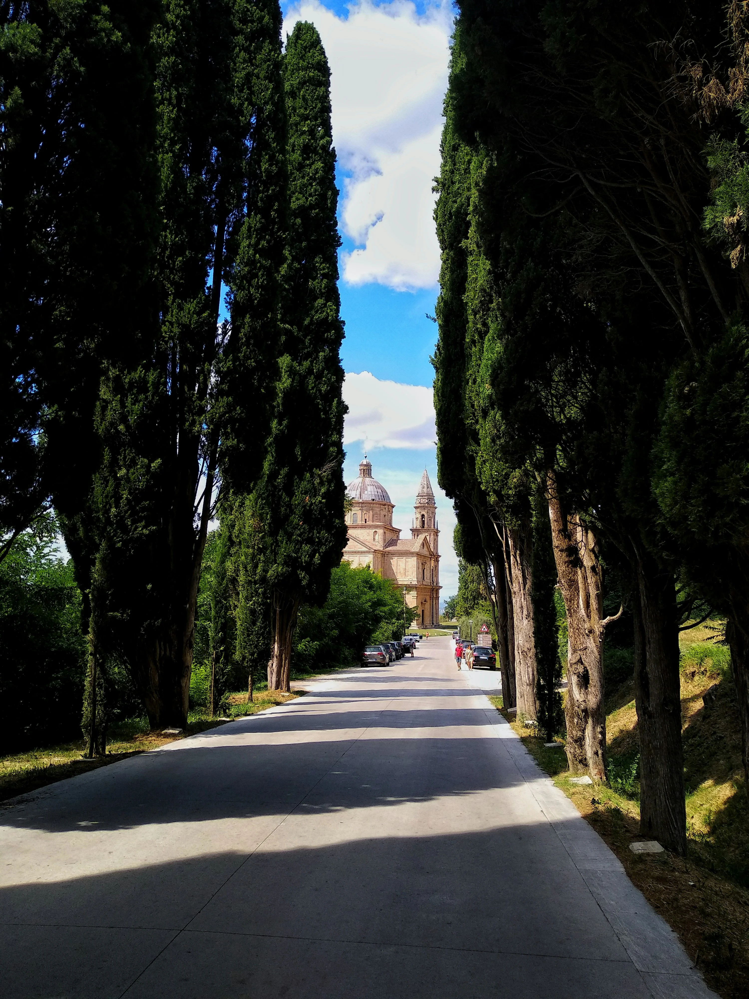 Viale di cipressi